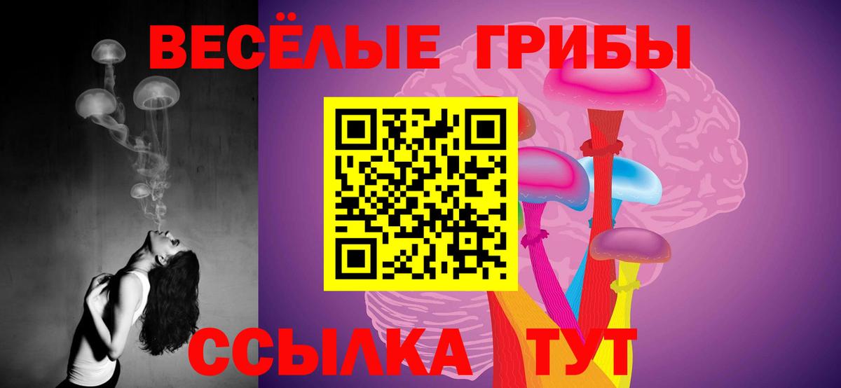 Псилоцибиновые грибы Дагестанские Огни